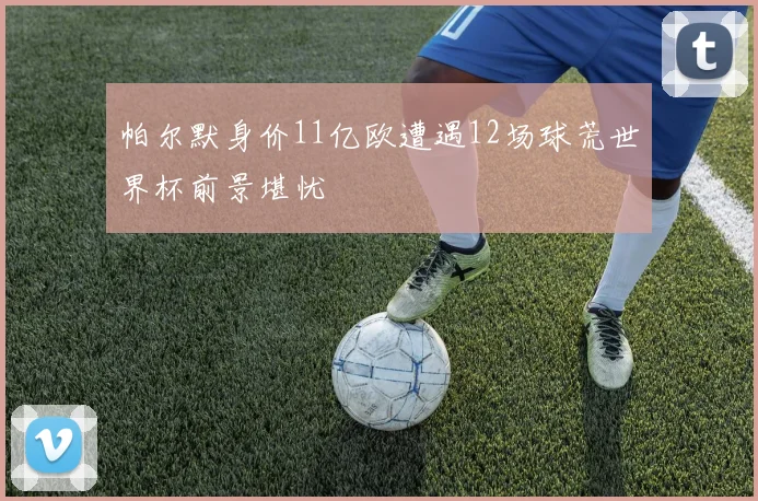 帕尔默身价11亿欧遭遇12场球荒世界杯前景堪忧