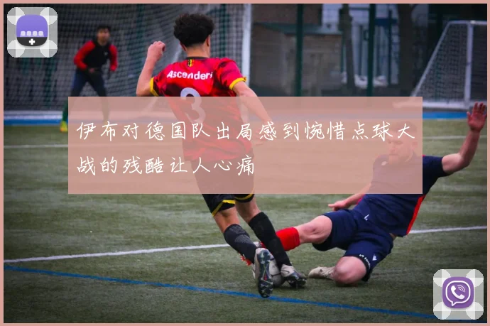 伊布对德国队出局感到惋惜点球大战的残酷让人心痛